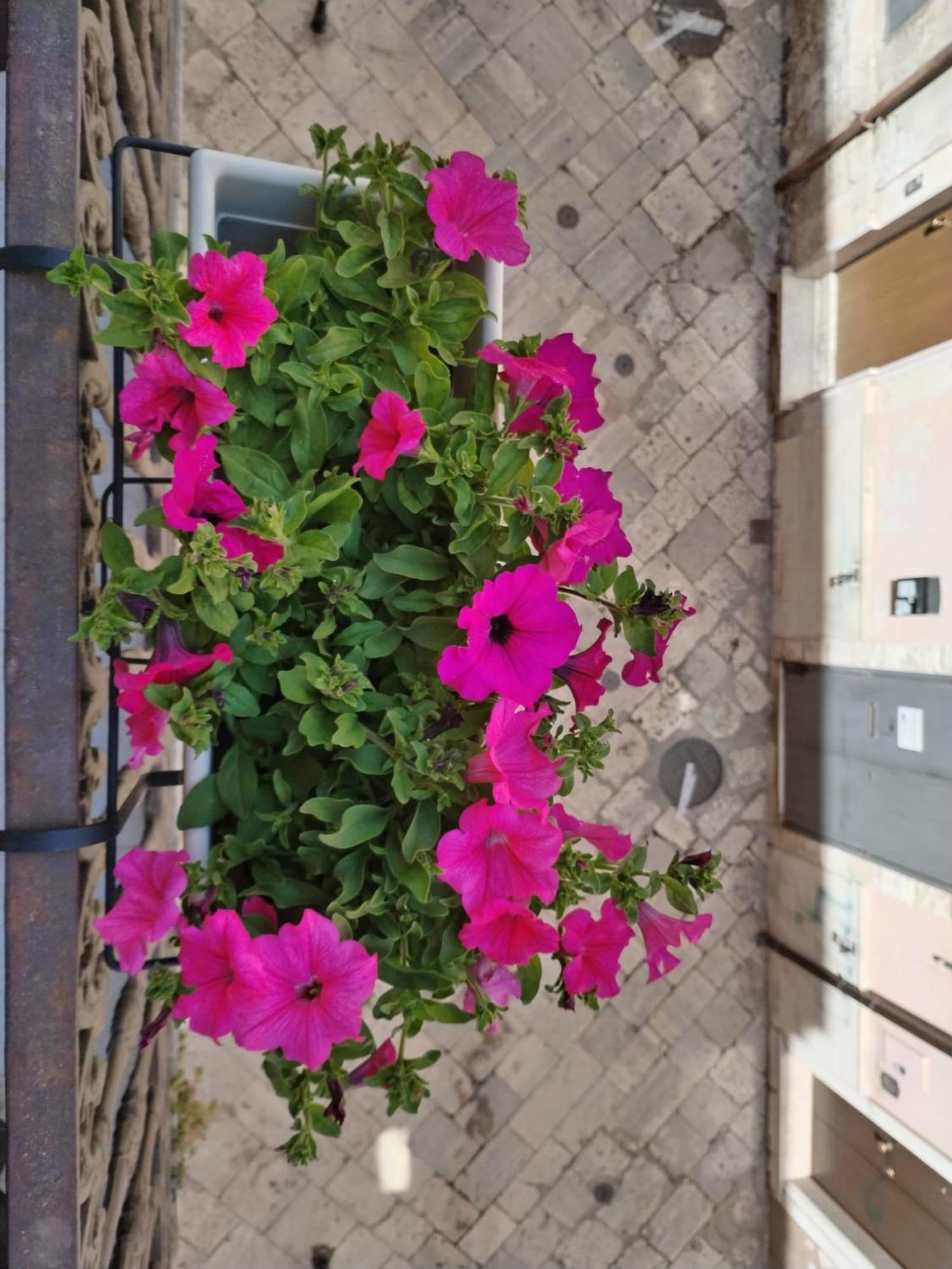 Happy House Salento Apartment Brindisi Zewnętrze zdjęcie